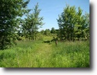 New York Farm Land 5 Acres Family Playground