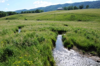 Headwaters of the Jackson River. Full of native brook trout