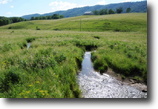 Virginia Farm Land 206 Acres The Brock Place is SOLD !!!!
