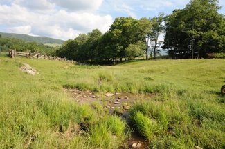 Creek crossing at lower meadow gate.
Chestnut rail fence. One of the very few left.