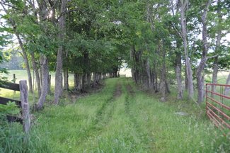 Cherry tree lined entrance lane from Rt.640