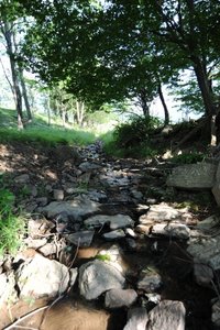 Center Creek along the entrance lane