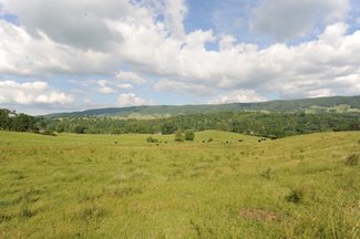 From the south line looking across the property to Monterey Mtn. and almost to the Devil's Backbone in Blue Grass