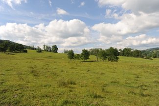 Lower pasture looking north. Montana ain't the only place with big skies