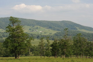 Looking at Tuck Gum's place on Monterey Mtn. and on south to the Swadley Place, from the locust patch, with the east side of the Jones Place in the foreground
