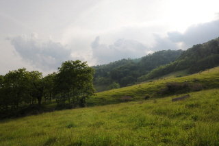 Mtn. pasture looking south along Lantz Mt. Thunder storm brewing on the Allegheny