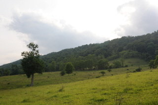 Mtn. pasture looking towards the Jones Place along Lantz Mtn.