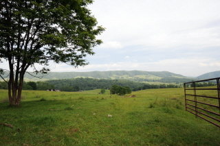 Gate in the cross fence between mtn. and lower pastures
