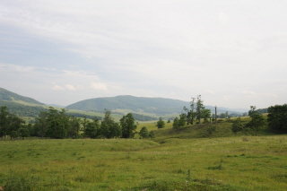 Lower pasture looking at Back Creek Mtn. and the hump on Lot 45
