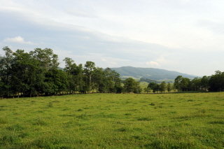 This 5ac.,in the extreme SE corner, can be used either as pasture or hay depending on the season