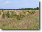 49.6 Acres of Prime Property