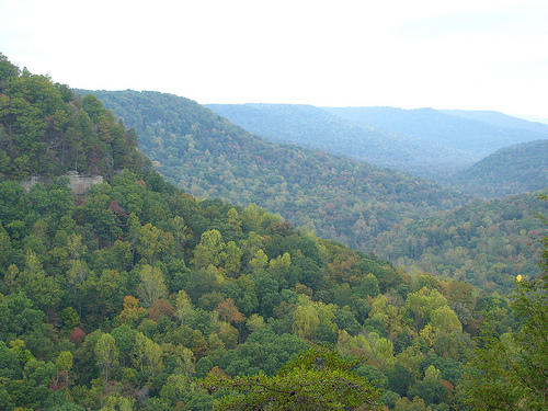 land at fall creek reserve property spencer tennessee