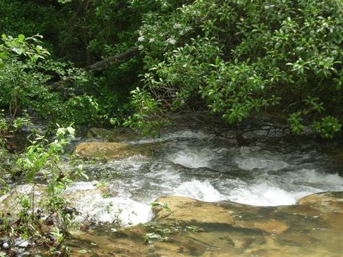 land at fall creek reserve property spencer tennessee