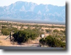 Arizona Land 74 Acres *Vacant Land for Sale* Investment Property