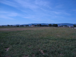 Partial overview