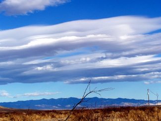 Across the Valley at the Chiricahua Mts.