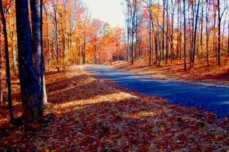 raptors roost is the newest eagles crest neighborhood. the first landowner gets to name the new road. tennessee