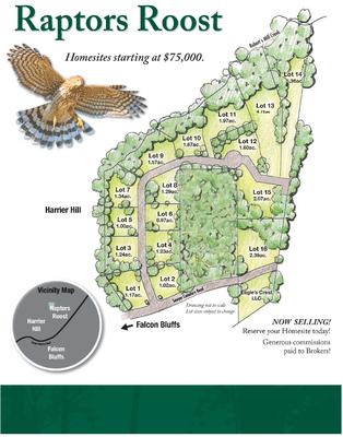 site layout of raptors roost, the newest community at eagles crest. tennessee