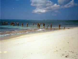 Old Government Dock