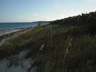 Sideview from Access Road