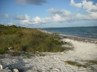 Back shot facing West