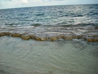 Waters Edge