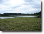 25 +/- Acres, Pond, Pasture