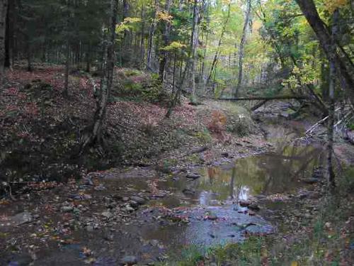 blue road mls property alston michigan