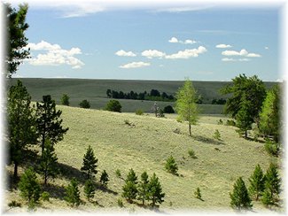 Big grassy meadows with views to the west.