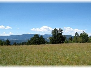 Big grassy meadows with views to the west.