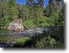 40 Acres on the Upper Sacramento River