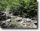 20+/- Acres-Minnehaha Cr.on the Trinity