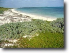 New! 39 Affordable Dreamy Beachfront Lots