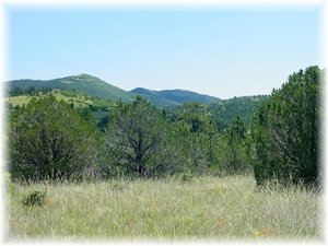 Distant views and level ground.
