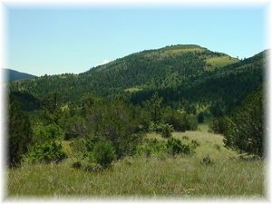 Camp or build right here with total seclusion.