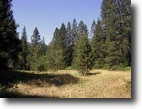 Trinity County 80 Acre Mountain Hideaway