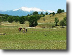 California Farm Land 1 Acres The Dutch Creek Ranch