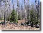 Maine Land 2 Acres Sunday River Area Land Bargain