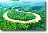 Peru Ranch Land 100 Acres Stunning Rainforest with river access