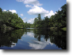 Florida Hunting Land 2 Acres Deep Creek Plantation