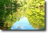 Ohio Hunting Land 40 Acres Coshocton Lakes  Coshocton County, OH