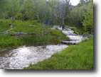 Idaho Ranch Land 512 Acres 512 ac by National Forrest/ Lots of Water