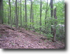 Virginia Hunting Land 25 Acres Secluded Hunting Property!