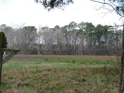 tree line north carolina