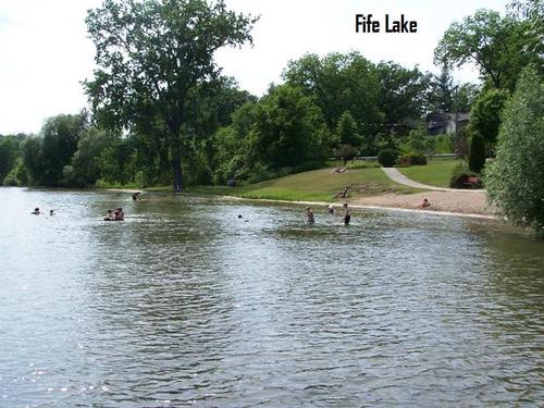 land on mirror lk access to fife investment property fife lake michigan
