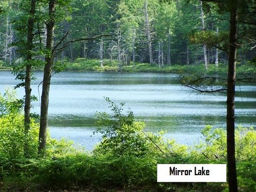 land on mirror lk access to fife investment property fife lake michigan
