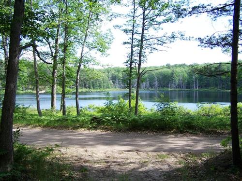 land on mirror lk access to fife investment property fife lake michigan