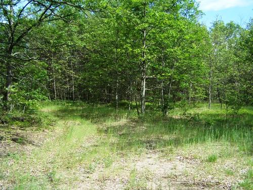 land on mirror lk access to fife investment property fife lake michigan