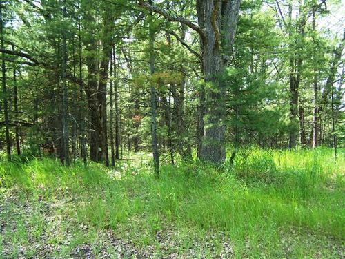 land on mirror lk access to fife investment property fife lake michigan