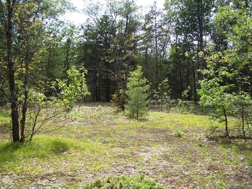 land on mirror lk access to fife investment property fife lake michigan